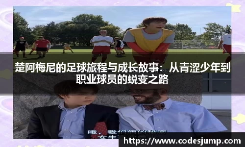 bsports官方网站